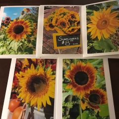 tracianellophotography for the love of a card everything sunflowers