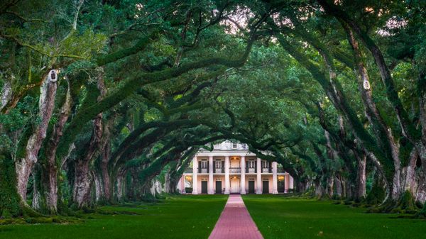 Oak Alley Plantation