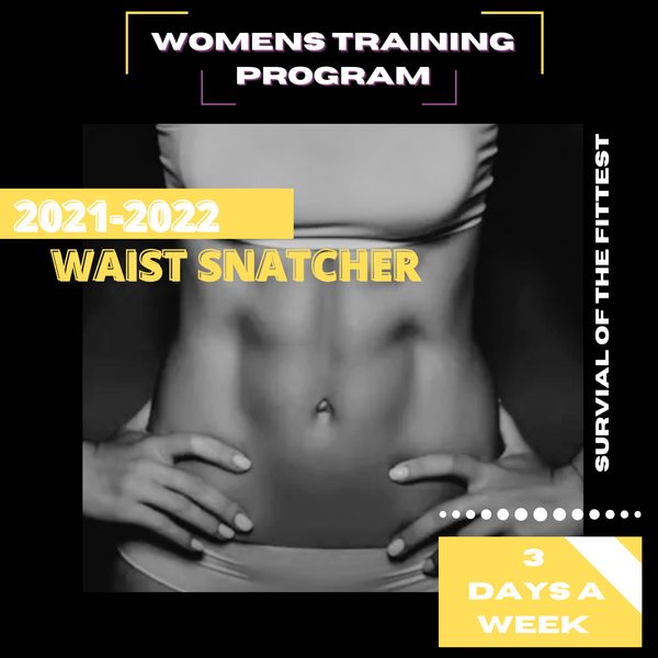 WAIST SNATCHER 2