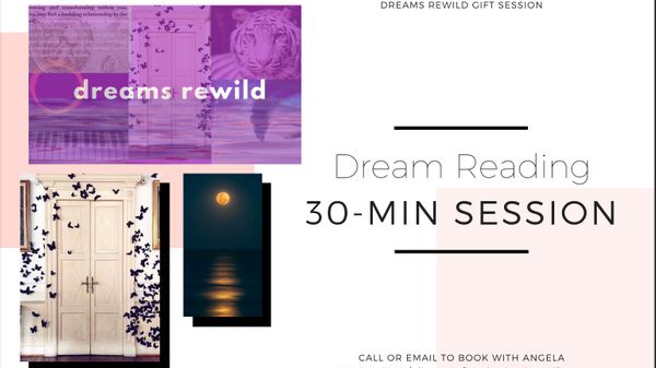 Dream Reading (30 min)