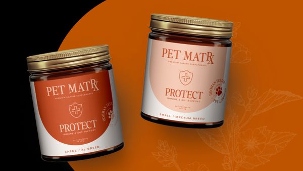 Protect - Immune and Gut Support 